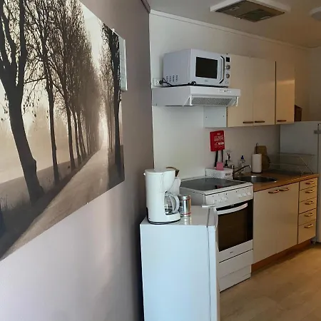 Orsta Apartments דירה *